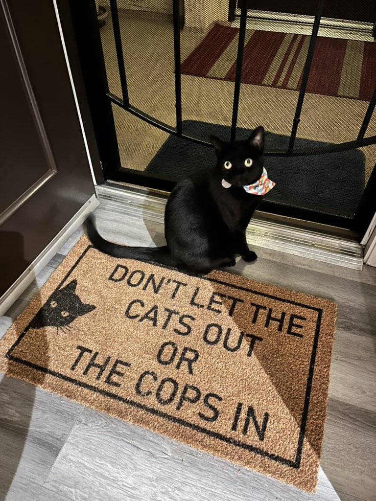 oodleofspoodle's tweet image. and we mean it 🚫