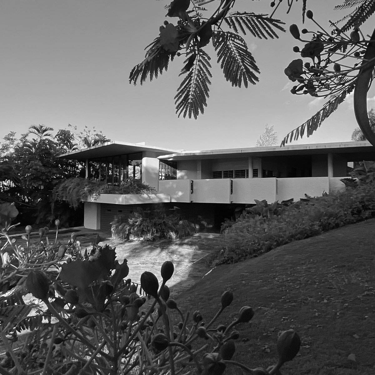 Fullana House, San Juan, Puerto Rico. Architect Henry Klumb. Photo Andrea Parga, 2022. <a href="/FExploratorio/">FotoExploratorio</a> #PuertoRico #HenryKlumb #FotoExploratorio #view #exterior #visualclues #photo #modernarchitecture #architecture