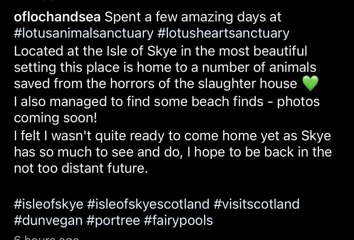 Lovely post from recent guests @oflochandsea 💚💚

#lotusanimalsanctuary #lotusheartsanctuary 
#isleofskye #isleofskyescotland #visitscotland #dunvegan #portree #fairypools #skye #scotland