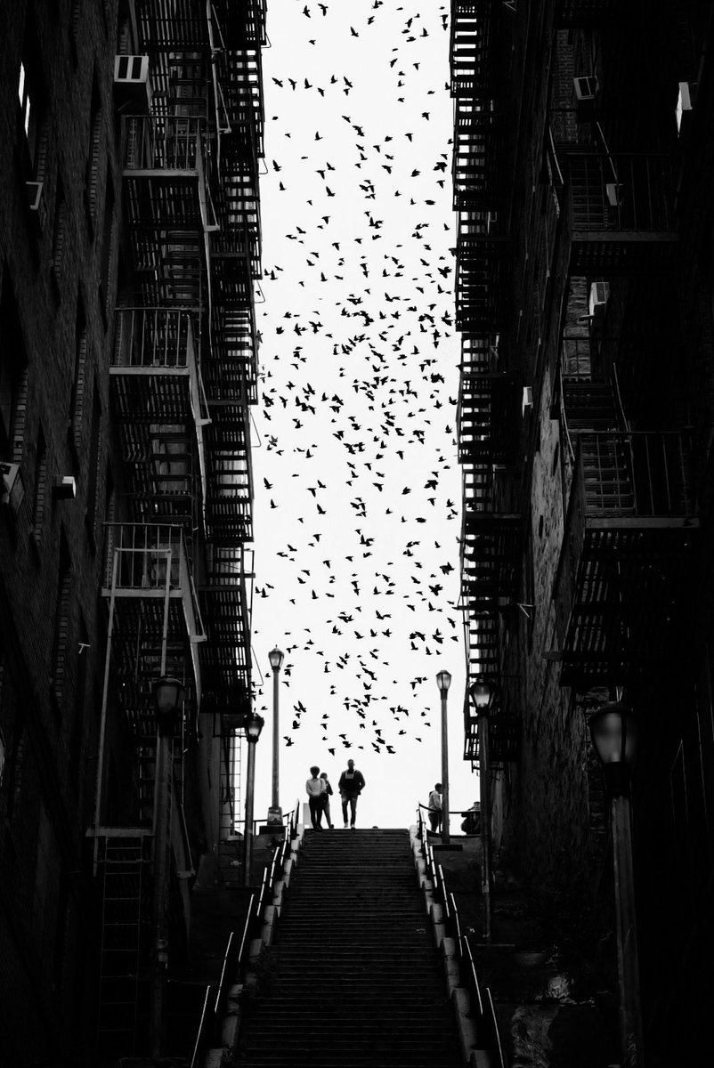 Raylivez1's tweet photo. 🦇🖤Gotham https://t.co/5gpqOFuZOC