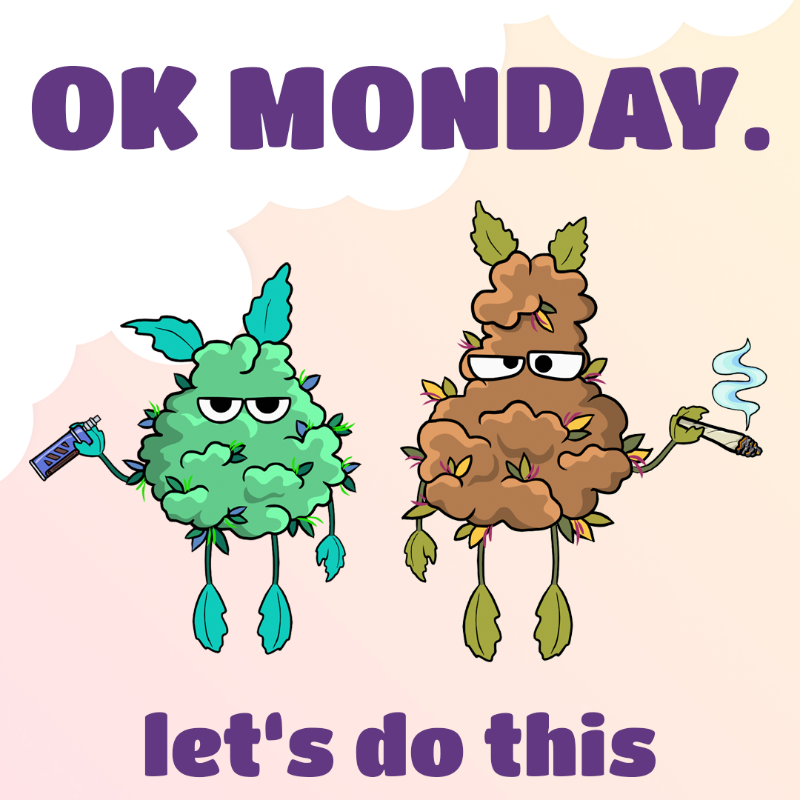 420Fairies's tweet photo. monday should be optional ☝️

#TheBakedBugs #NFT #NFTart #Charity #NFTcommunity #Cannabiscommunity https://t.co/9ZyhPbIjhS