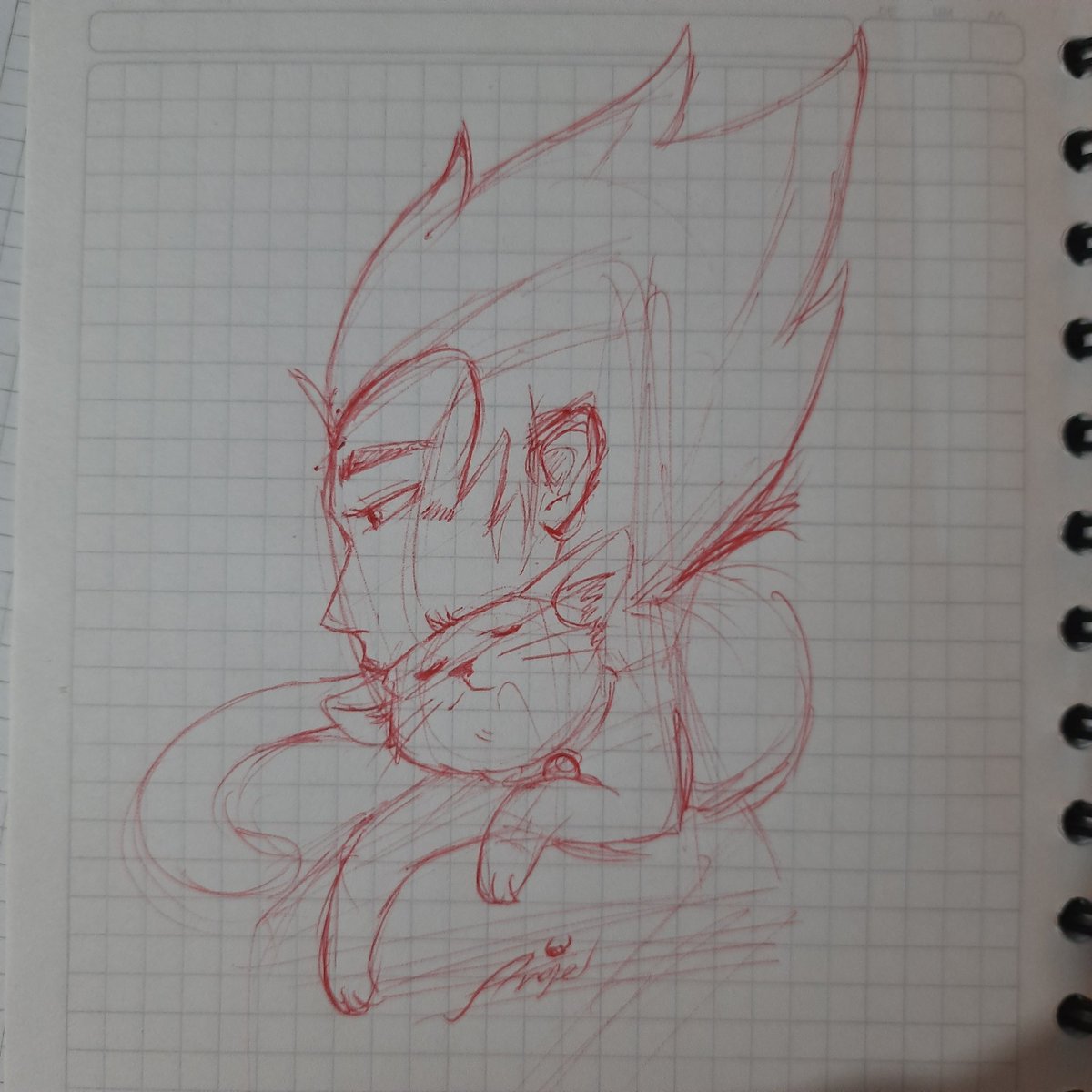 Angel_anfer's tweet photo. Dibujo de Vegeta con su nuevo gatico.
#KarmalandV @vegetta777 https://t.co/eofhipmalE
