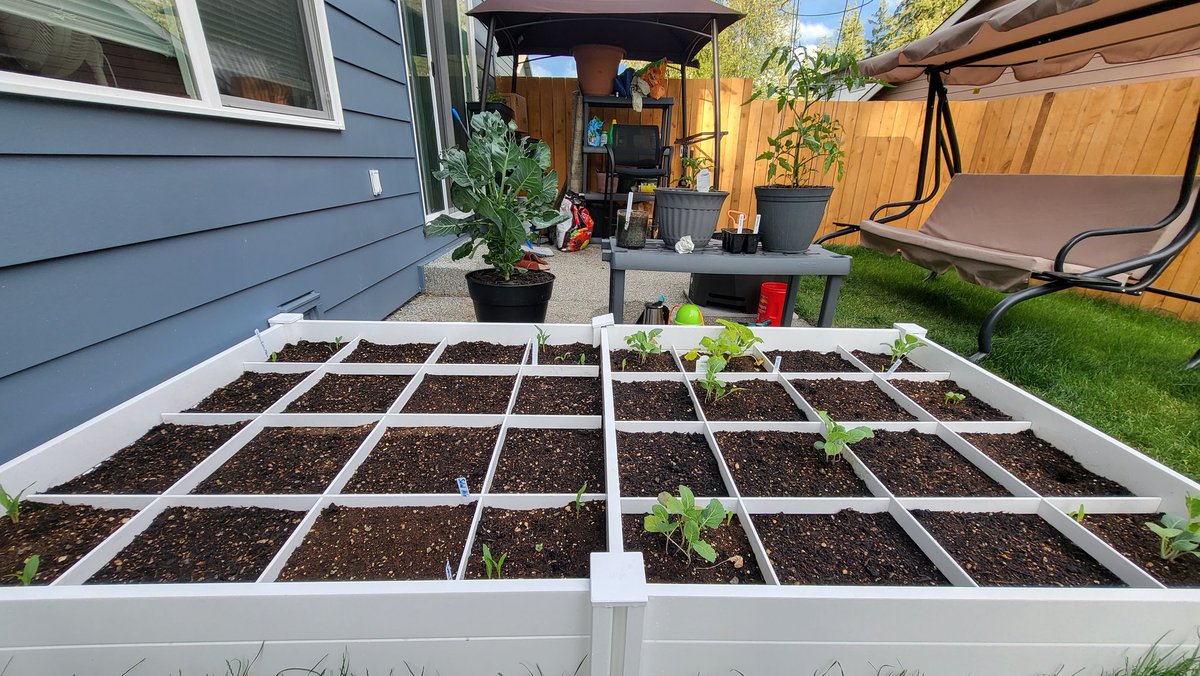 MightyMorfnTime's tweet photo. The growing season out here has been much like the crypto market, cold and dreary to start. But with some patience, smart planning, and some engagement I've watched my garden and my savings nurture. If you want to #SaveThisSummer and watch your savings bloom visit @goodghosting. https://t.co/cyrP9mVM3Y
