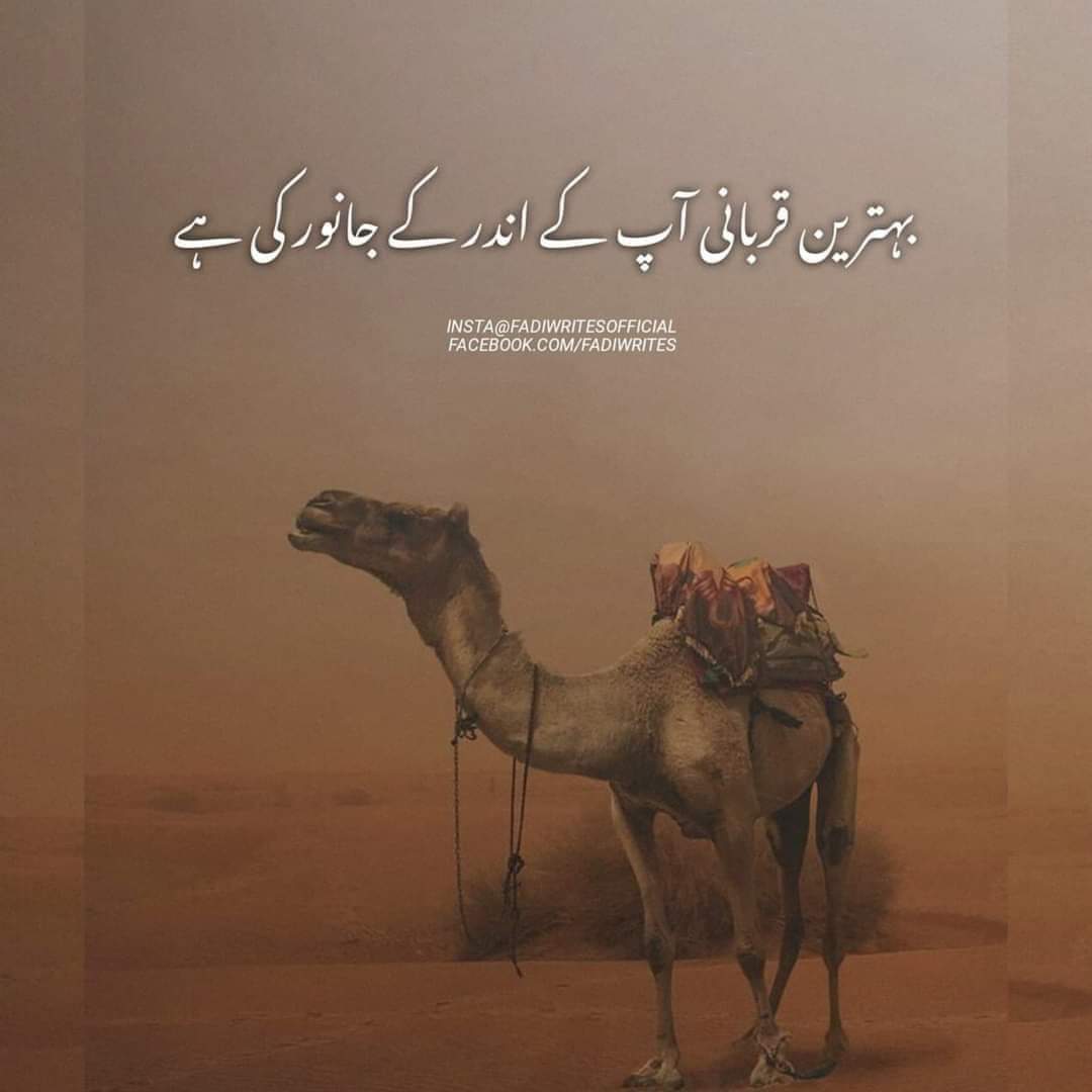 RajaSiapad's tweet photo. @ImranKhanPTI Khan saab many many congratulations to you, PTI and all the people of Pakistan. Not only did PTI won, but freedom also won today, democracy also won today and most of all PAKISTAN won today.
Insha'Allah very hopeful for GE. Want to see you as our Prime Minister again 🤲🏻❤️💚 https://t.co/LDfQvJJxYv