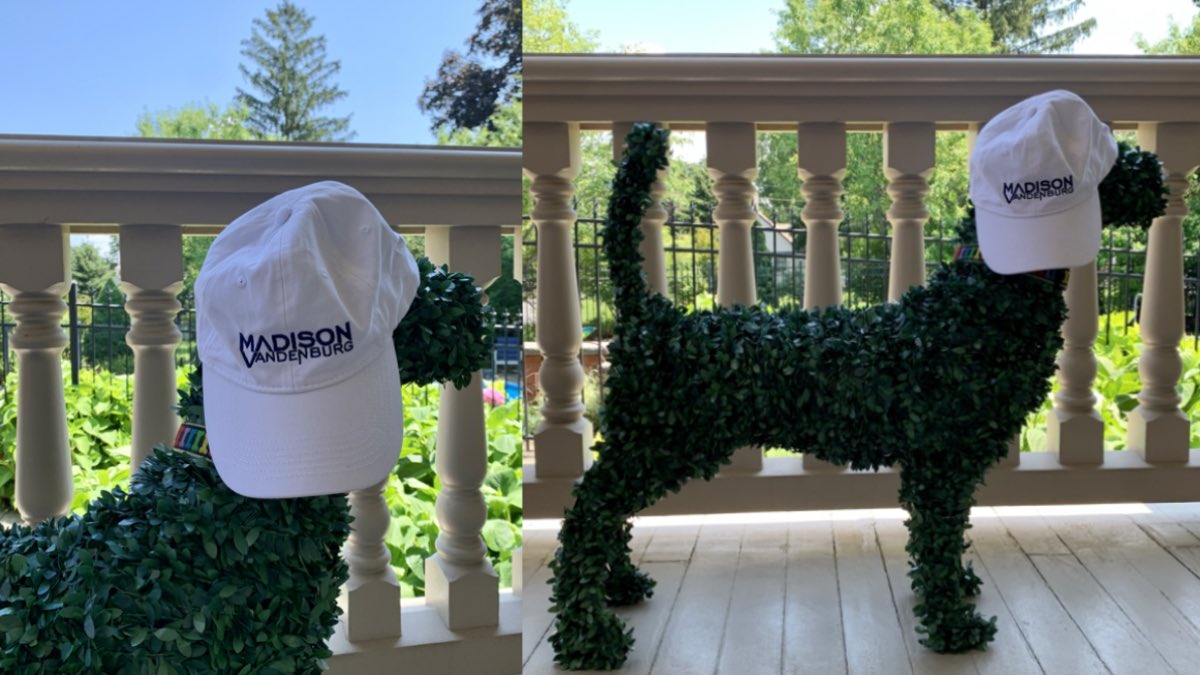 GIVEAWAY TIME! 🎉 I’m giving away a hat from my merch collection tonight at midnight!! to enter:
❣️RT this tweet 
❣️follow me
❣️tag 2 friends in comments