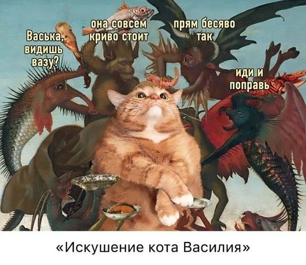 UsuallyManya's tweet photo. https://t.co/YjXB9BRyif
