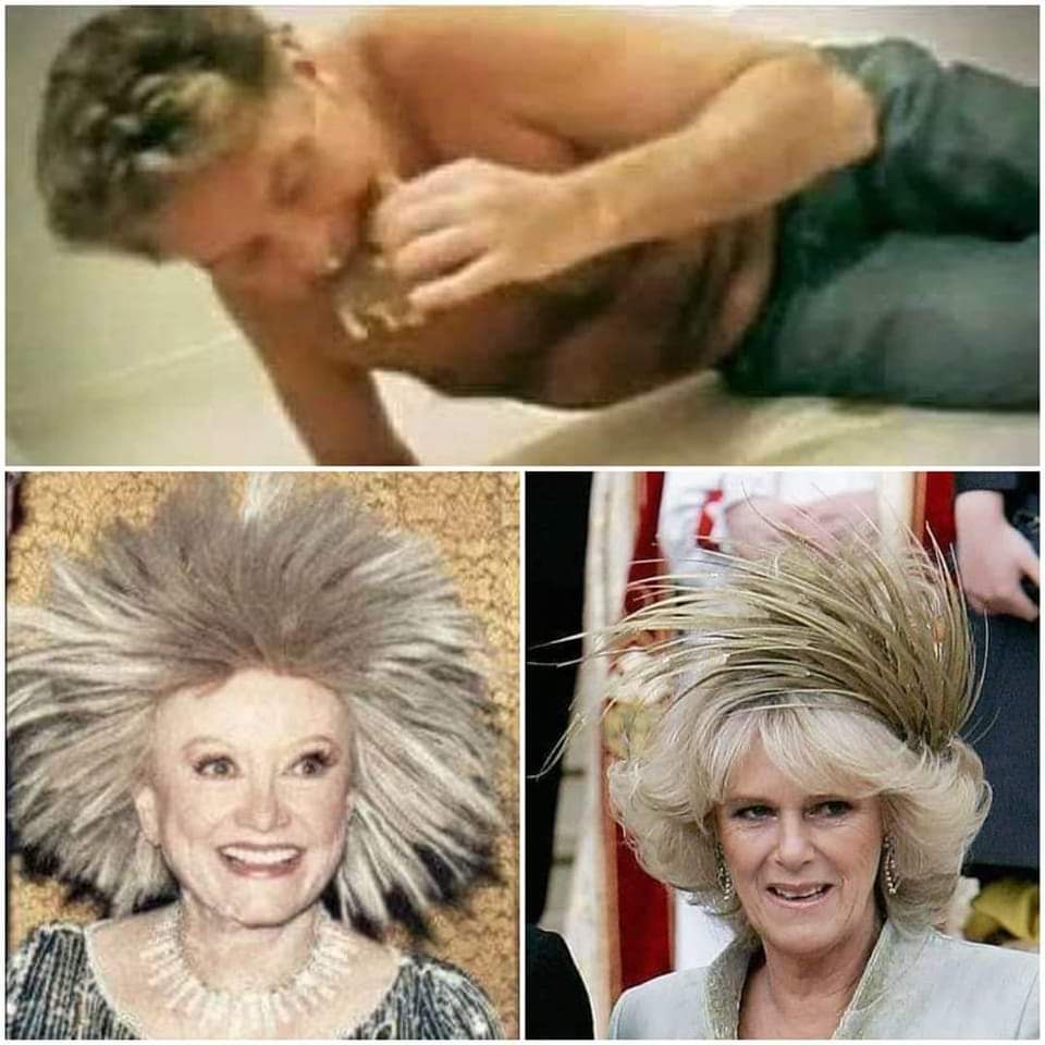 Happy Birthday to David Hasselhoff, Phyllis Diller, and Camilla Parker Bowles! 