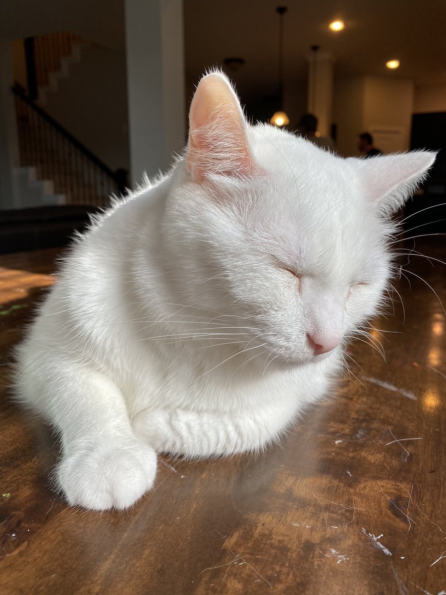 Feeling tired on the Sunday afternoon. Might do the nap later.