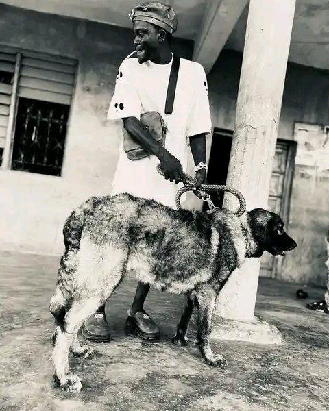 portablebaby tweet media