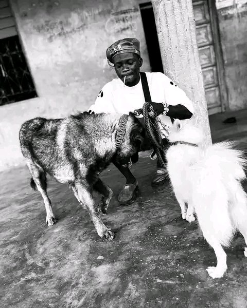 portablebaby tweet media