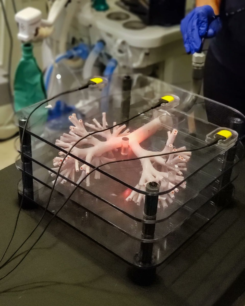 Dell Med Pulmonary & Critical Care Fellowship tweet media