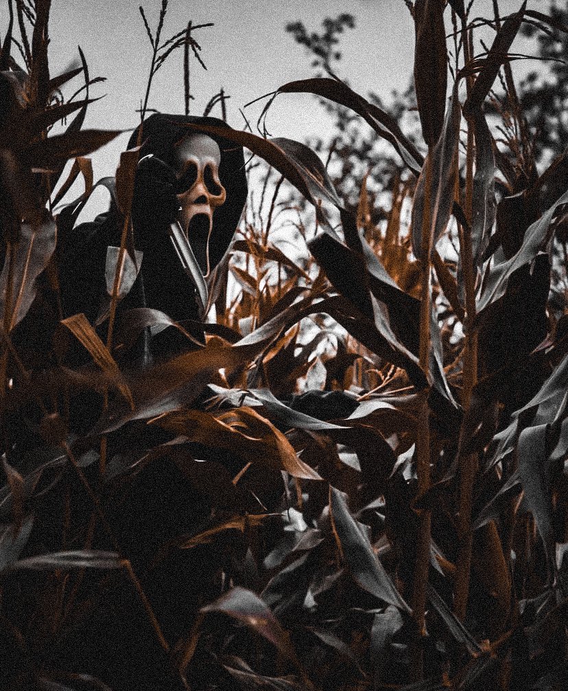 GhostfaceTalks_'s tweet image. spooky season is coming… 🎃