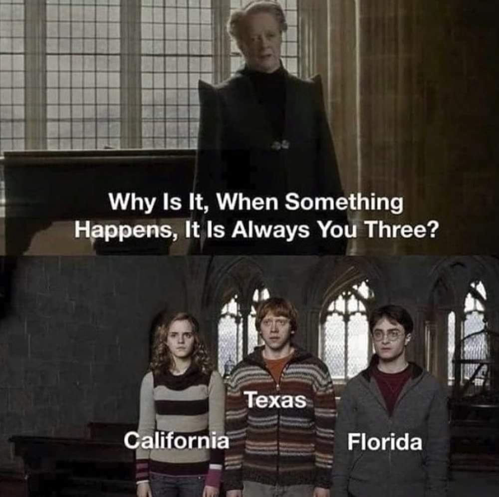 Lisa (@pipperoo) on Twitter photo 