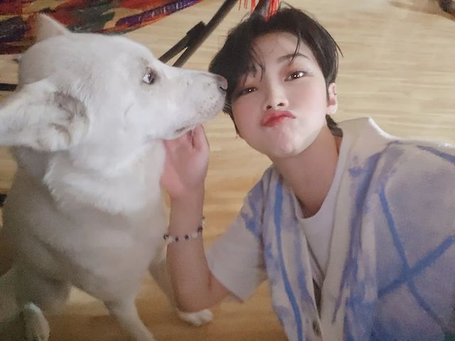 Arabluvits2's tweet photo. 22-7-18|
🌸 الانستغرام ؛ يتشان🦊
🐕🐕💙 https://t.co/JGuPOuti2r