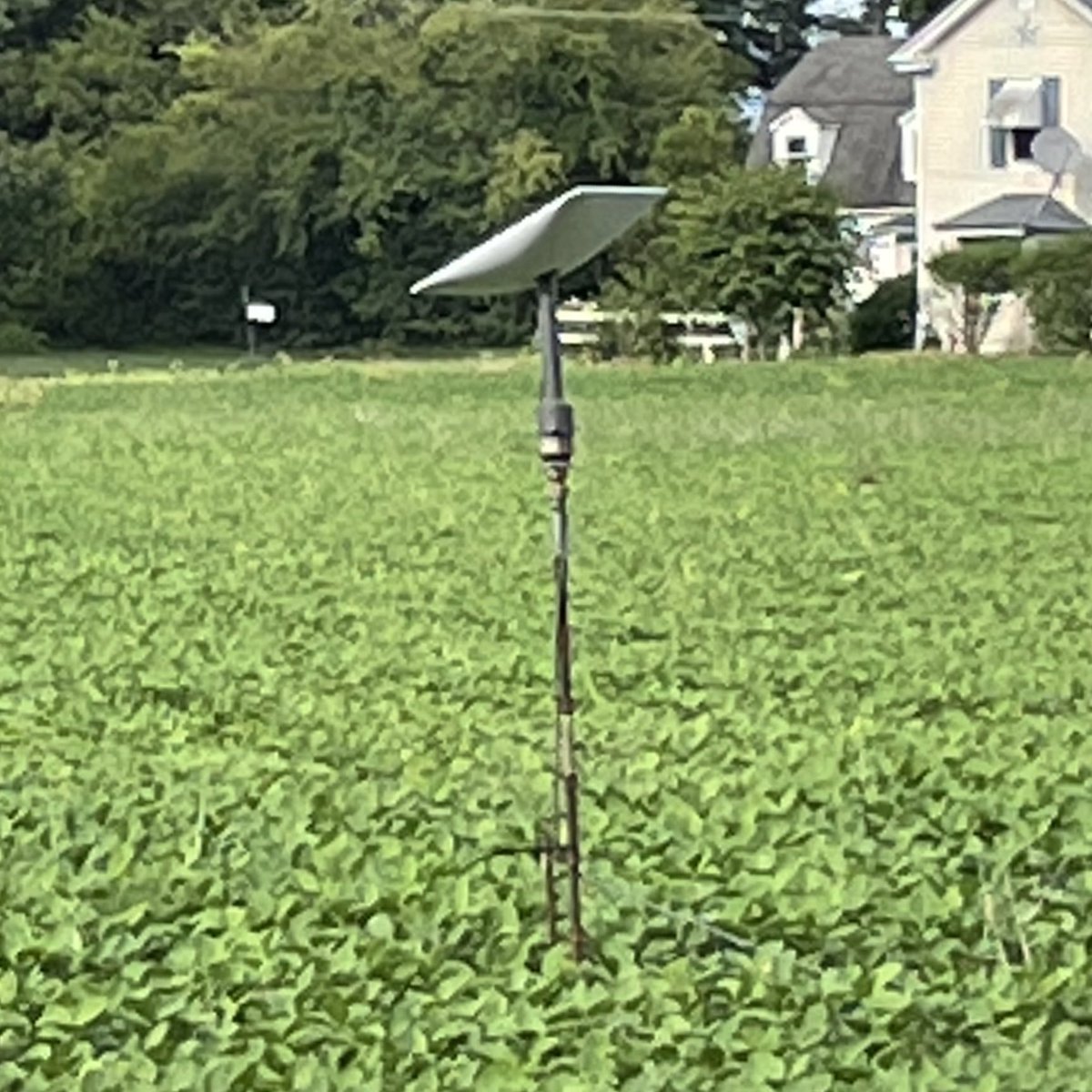 TJ_Cooney's tweet image. After 2 yrs on the waitlist our family farm finally has Starlink! (Gracefully parked in the middle of a soybean field) Check out the results, night and day compared to the other provider. 1300 ping vs 50?!? .97mbps vs 38.9mbps?! This is life changing tech! Thank you @spacex!