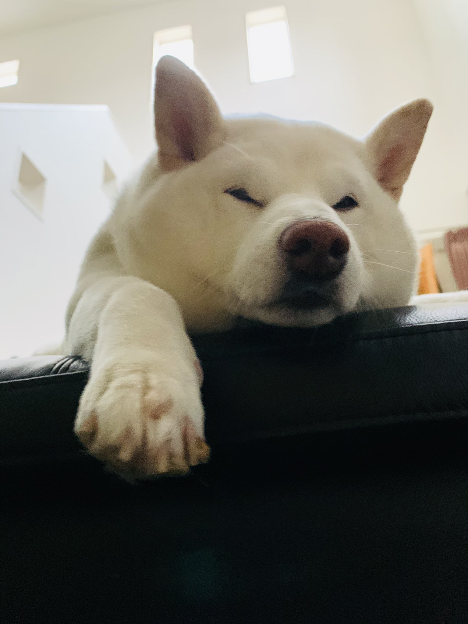 ぶさん 5eytp Twitter