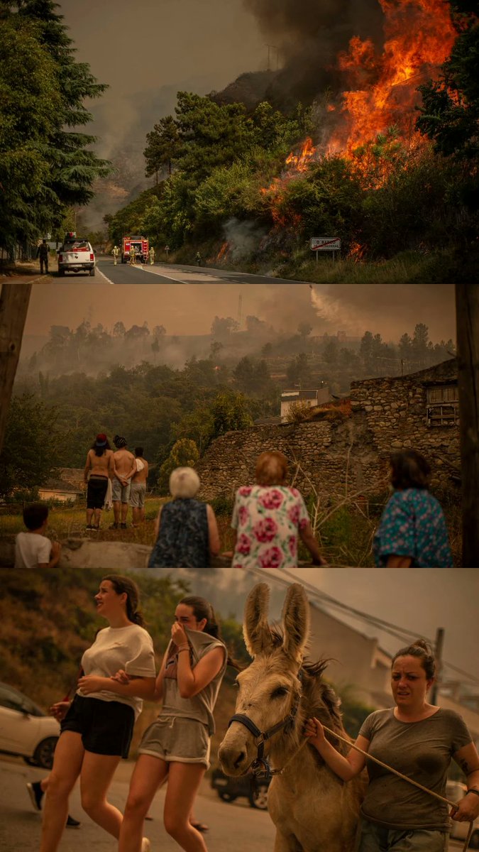 Nunca aprendes a afrontar ver como arde a túa terra; as casas dos veciños, as hortas, viñedos e soutos, o monte polo que tanto paseaches... Esta clase de tristeza e impotencia non ten nome. Necesitamos axuda, Valdeorras estase tinguindo de negro.
Fotos de <a href="/brais_lorenzo/">Brais Lorenzo</a>