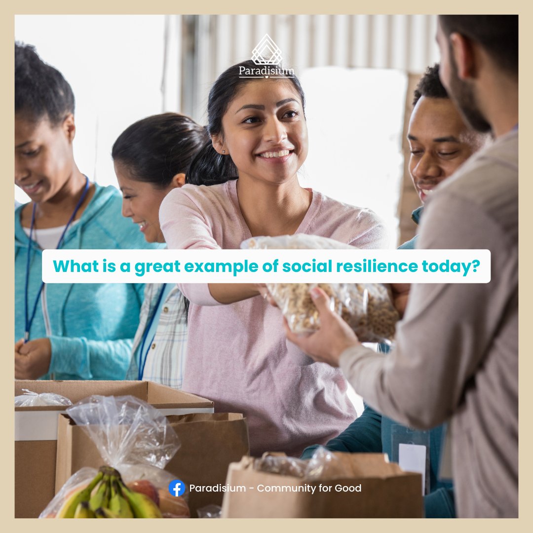 ParadisiumVerse's tweet image. What is a great example of social resilience today?

Essentially - which community, which group of people, which leader of a group of people have led their communities to adapt and overcome in the face of challenge?

#paradisium #communityforgood #community #resilience #resilient