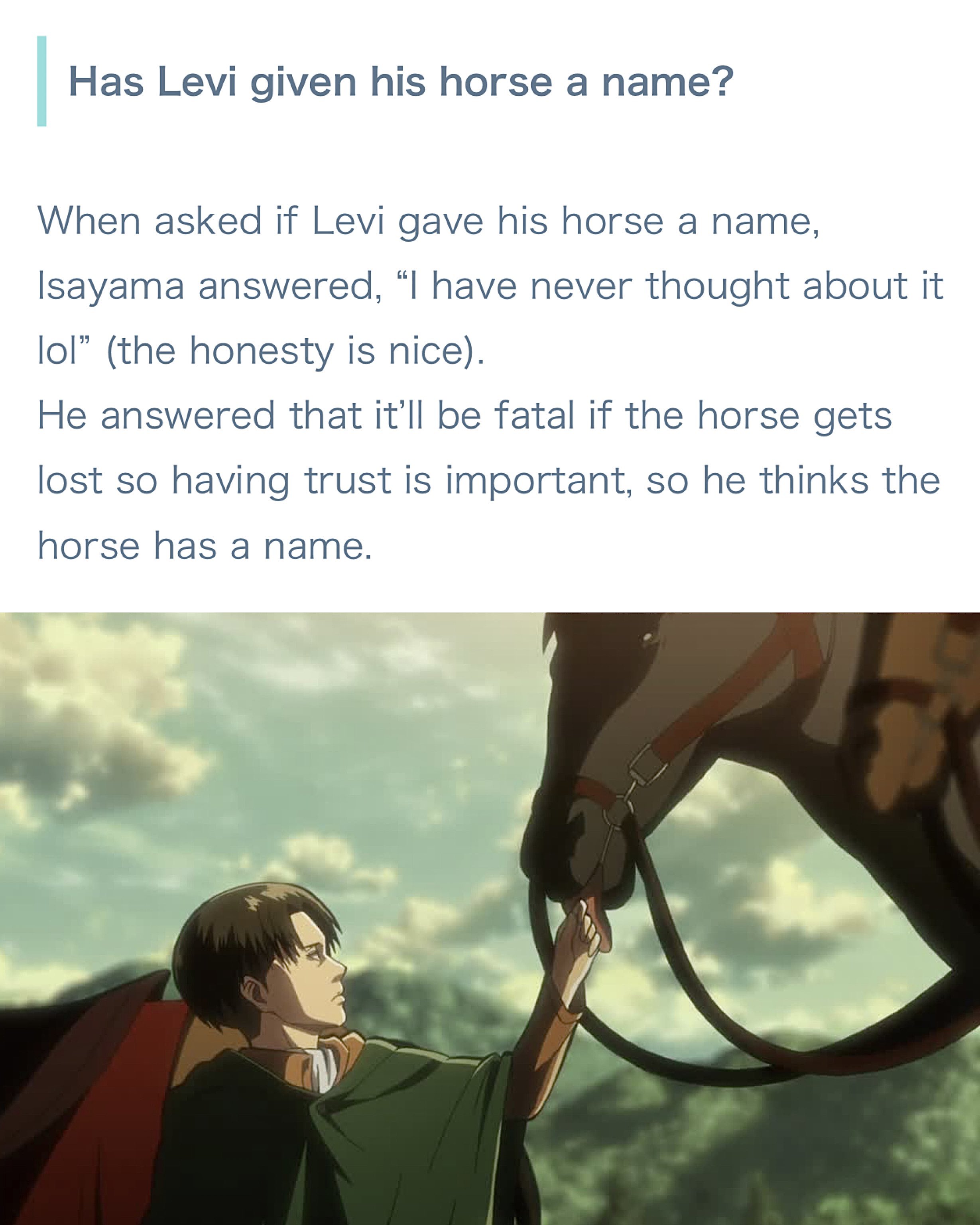 Top 73+ imagen levi’s horse name