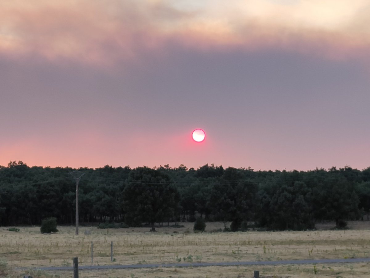 twifferium's tweet photo. Sería una puesta de sol preciosa, con un sol en color rojo fuego, de no ser porque tal color es debido al incendio forestal de Cebreros. Muy triste que haya humanos así #IFCebreros https://t.co/RBn3DZFRgt