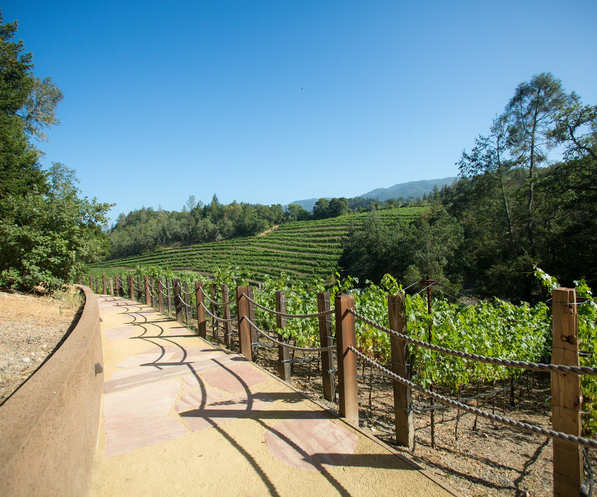 FantescaWine's tweet photo. At our Spring Mountain estate, take the path that leads wherever your palate takes you.

#Fantesca #Vineyard #Winery #MyStHelena https://t.co/8HtKpuiGpH