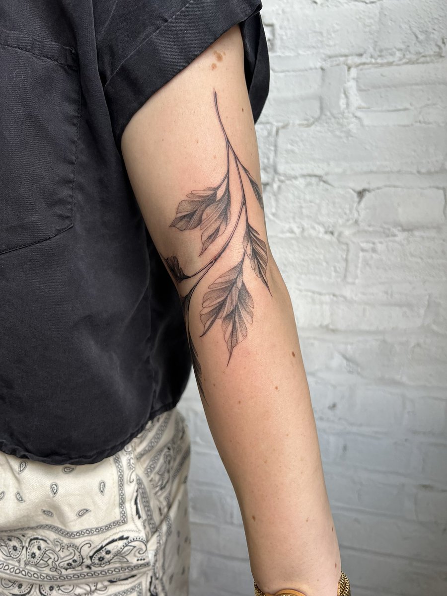 carleymperloff's tweet image. i never post on here anymore but I believe this deserves to be seen