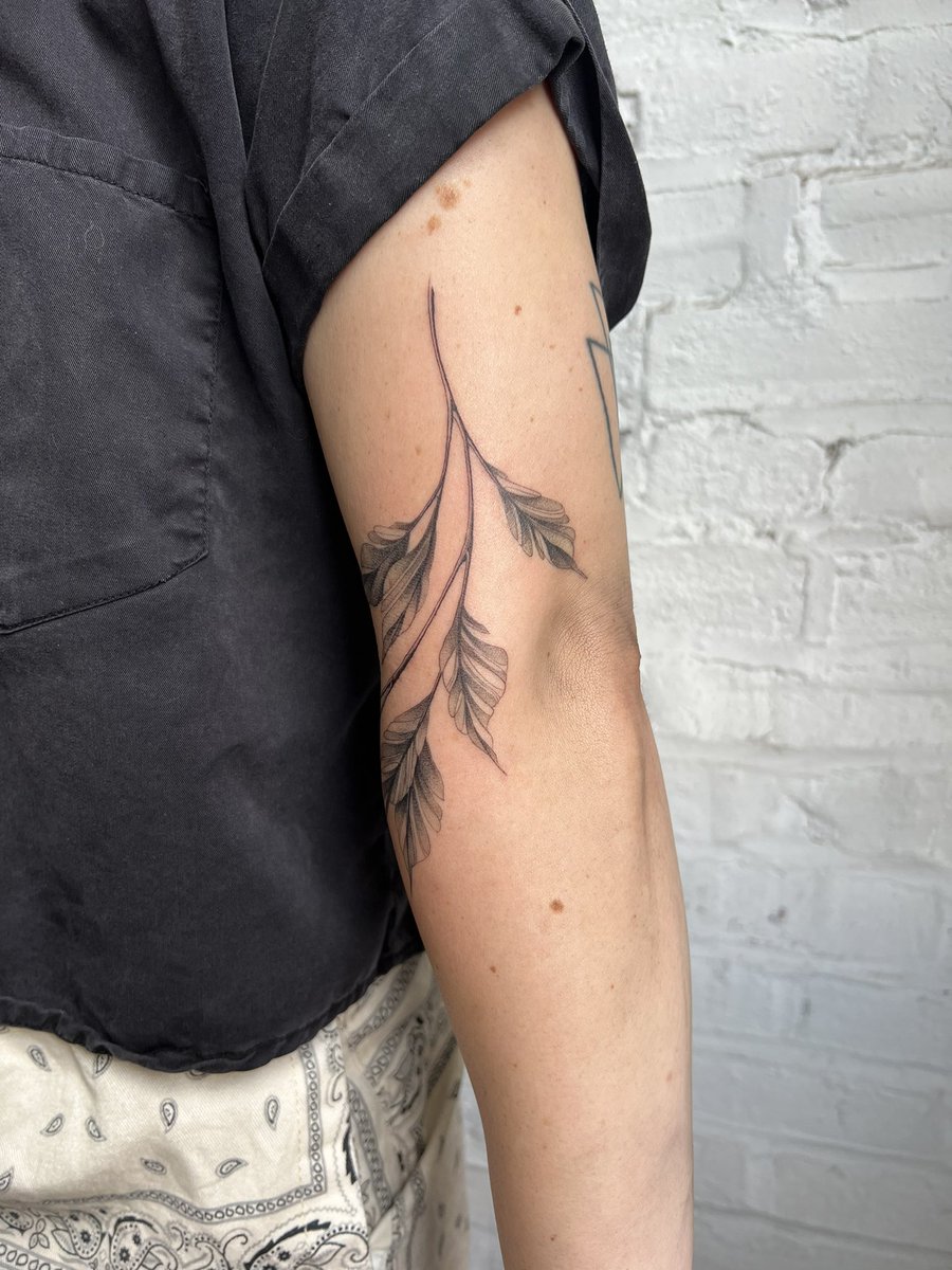 carleymperloff's tweet image. i never post on here anymore but I believe this deserves to be seen