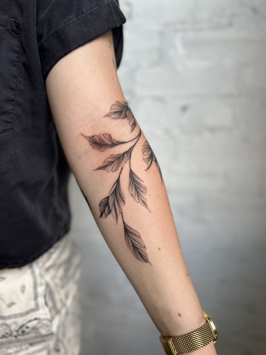 carleymperloff's tweet image. i never post on here anymore but I believe this deserves to be seen