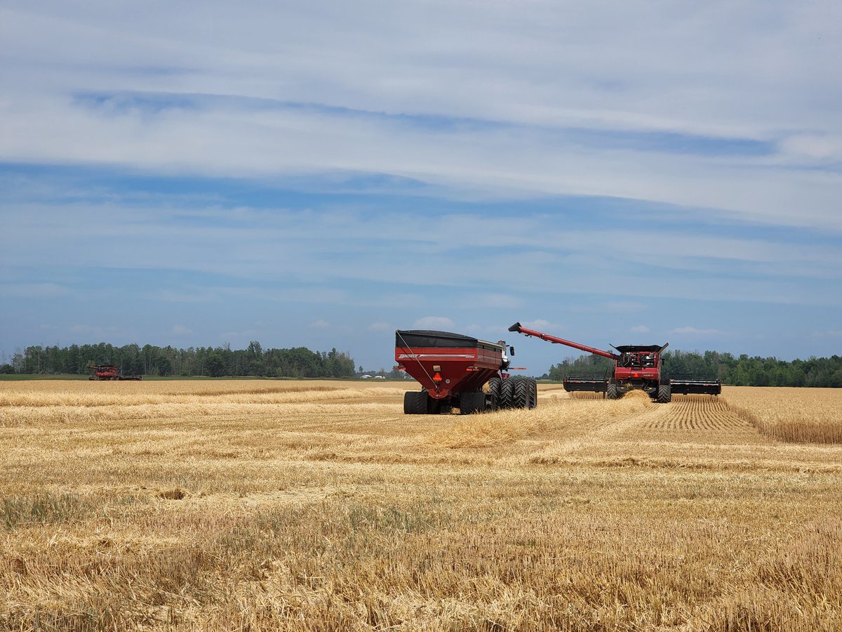 Testing, testing, 1, 2, 3 last night...it's a go this afternoon!
First afternoon of wheat #harvest22