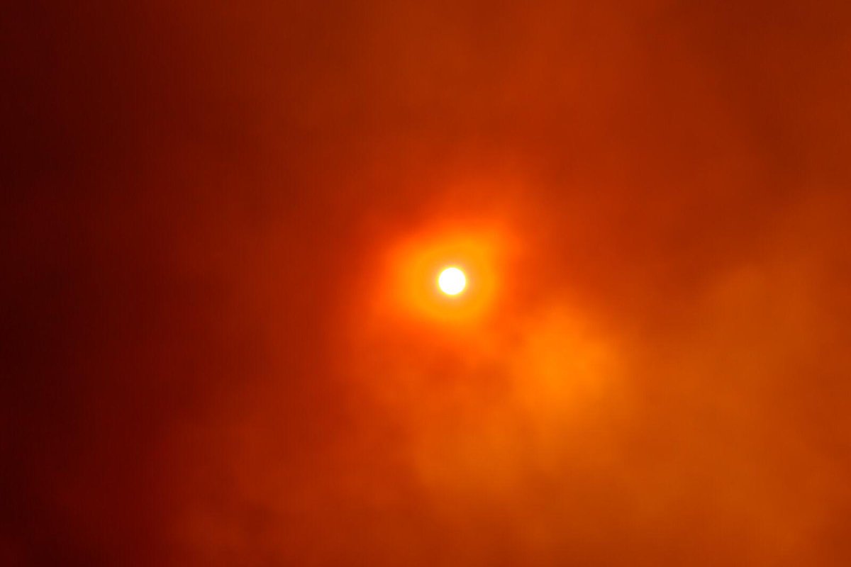 Catalunya is burning. At the same time, holidays are being planned by plane or car and the air conditioner is used non-stop. Water scarcity is spreading throughout the country and people still gets edgy if one mentions climate change.