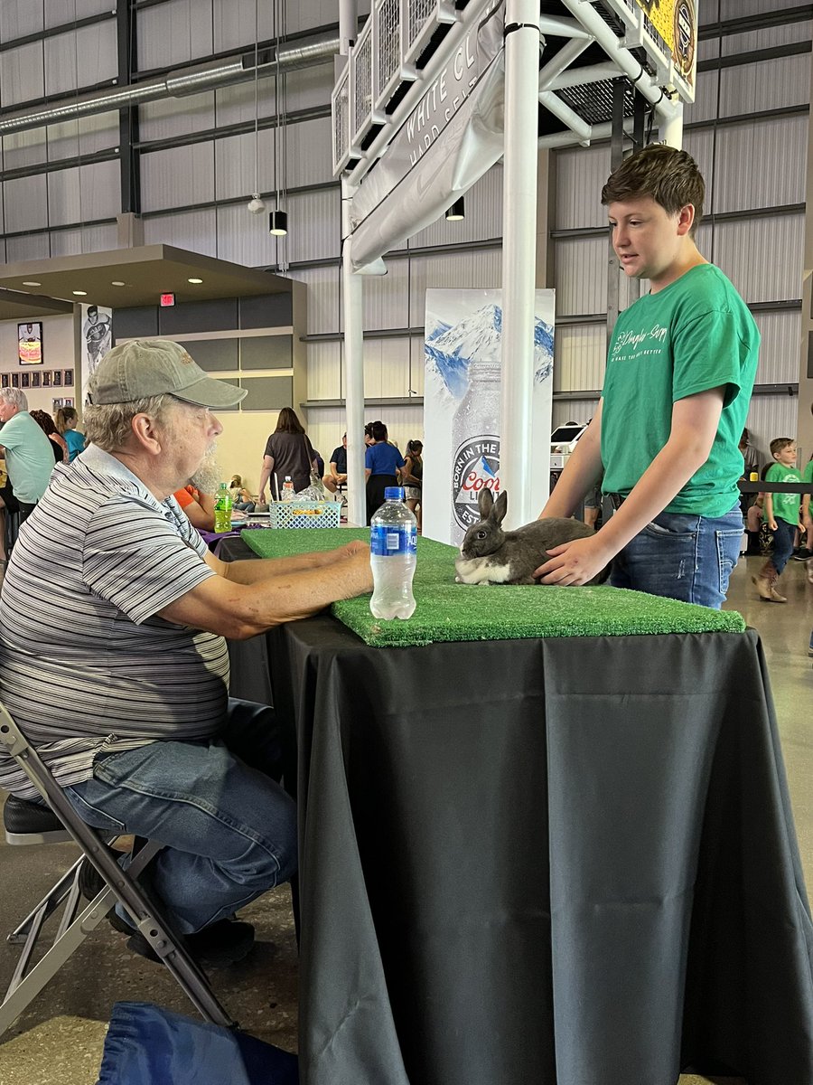 DouglasCoFairNE's tweet photo. Incase you missed our Rabbit Show, here are some pictures of a few contestants! #DCF #Rabbit #RabbitShow #RalstonArena https://t.co/HOSgom8HWc
