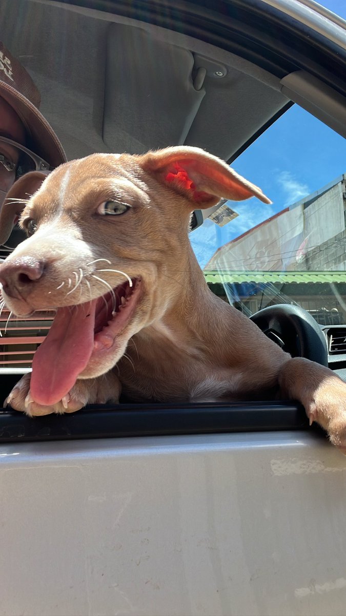 El es feliz, yo soy feliz