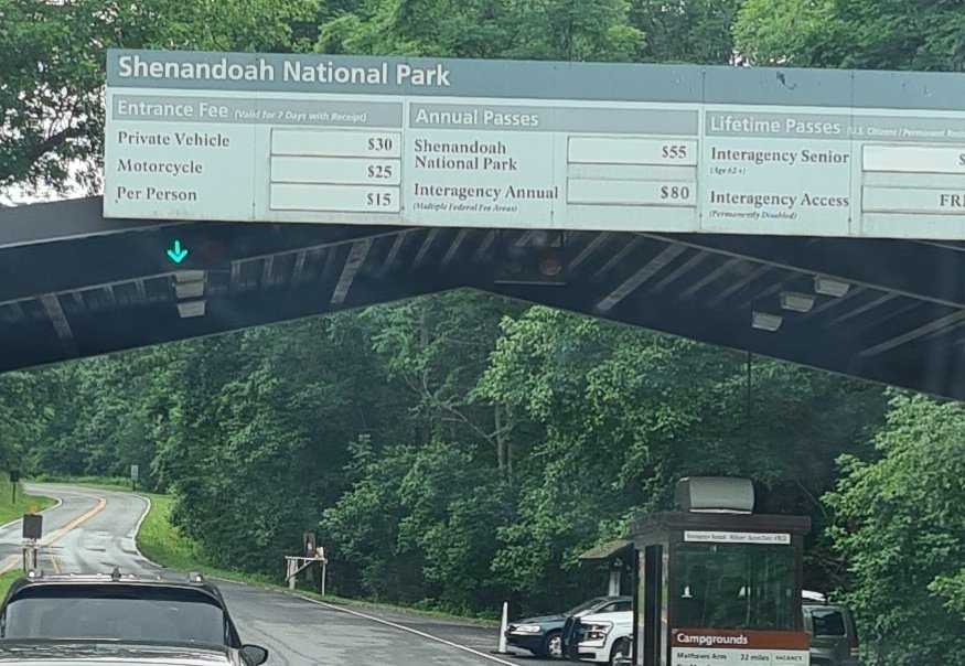 DanniTigerauge's tweet photo. Travelling days, yesterday from Washington D.C. to Richmond/Virginia via #SkylineDrive #SHENANDOAHNationalPark
Today we're moving on to Charleston, managed to grab four shinys while taking breaks and evolved two old hundos (maxed one out).
#PokemonGOCommunityDay 
#USVacation https://t.co/AohYxfEdXQ