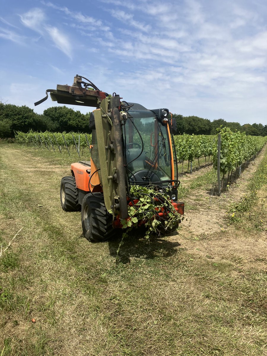 Vineyard work in the Holder tractor isnt a chore.