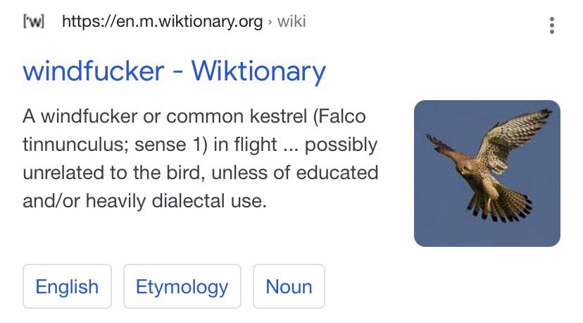 kirawontmiss's tweet photo. who tf is naming these birds??? 💀 https://t.co/YL2QT3OAbh
