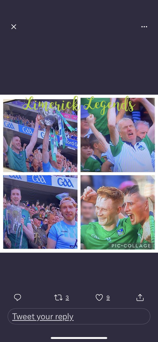 Limerick showing us how legends and heros are made and inspiring the next generation with their passion, guts and determination. 💚🤍 #Limerick #AllIRELANDHURLINGFINAL