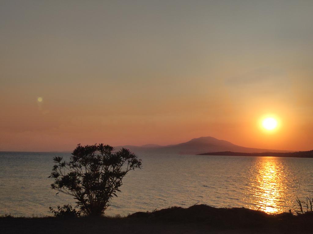 MariaKanoni's tweet photo. " Ήτανε αγάπη τελικά
   κι όχι απλά μια
   συνήθεια "

                         * https://t.co/3vamA2uQDJ