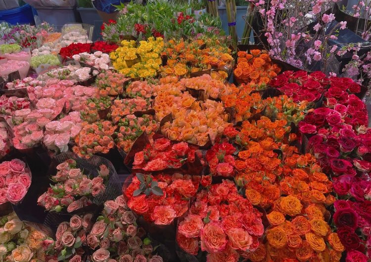 ‏ْ (@piinkifairy) on Twitter photo 