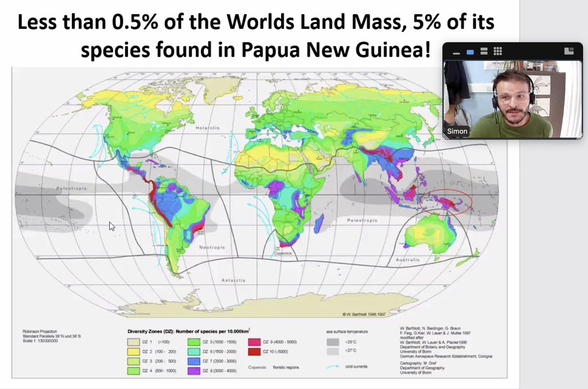 Sotiria Boutsi tweet media