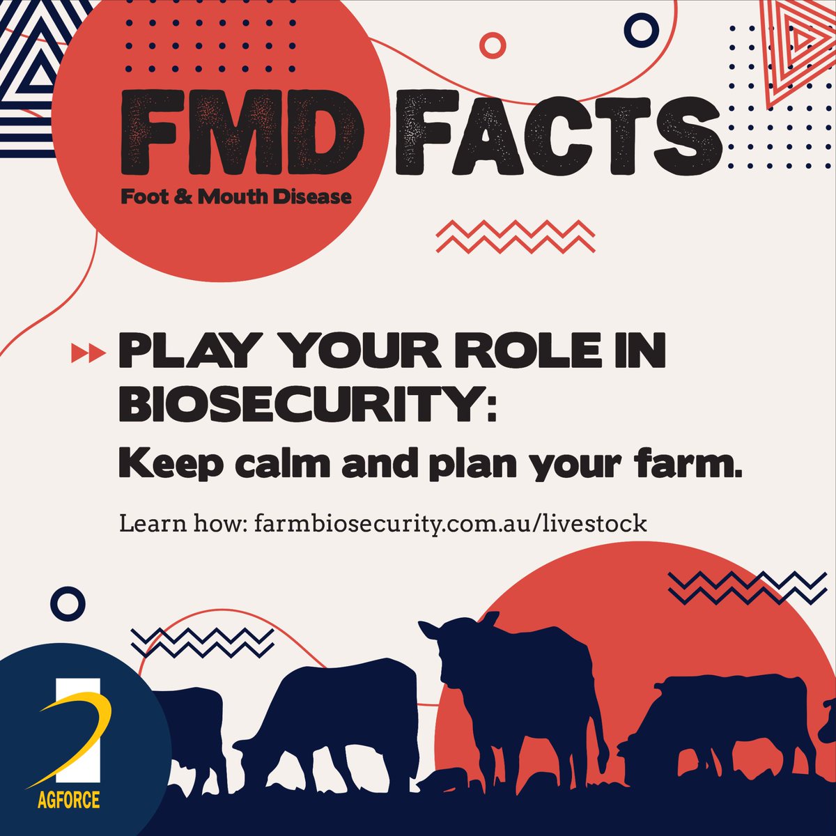 AgForceQLD's tweet photo. For more information click https://t.co/YDgq5SIBDR #FMD22 #agforce #agforceqld #biosecurity #throwyourthongs #Livestock https://t.co/DKZIHJNrzk