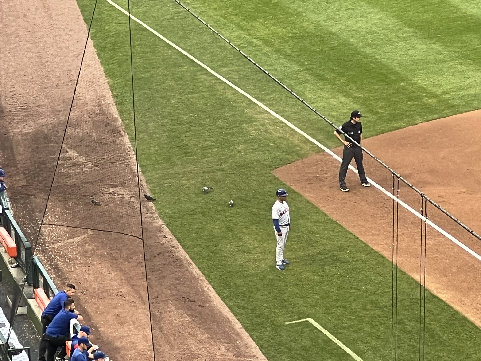 Deesha on X: Mets third base coach Joey Cora is eating sunflower seeds and  also throwing some to the birds, hence these Wrigley Field pigeons  constantly surrounding him.  / X