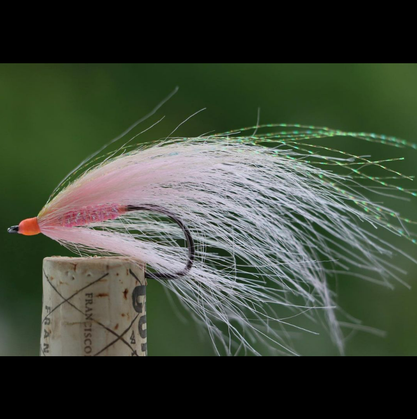 ZZ_Troutski's tweet photo. Gotta Love Simple
@rbubnowski
A quick and simple, but effective saltwater baitfish pattern.
:
#saltwaterflyfishing #saltwaterfly #flytying #striperfly #bluefishfly #fireholesticks #customfly #barblesshooks #catchandrelease https://t.co/L77RRvxVDe