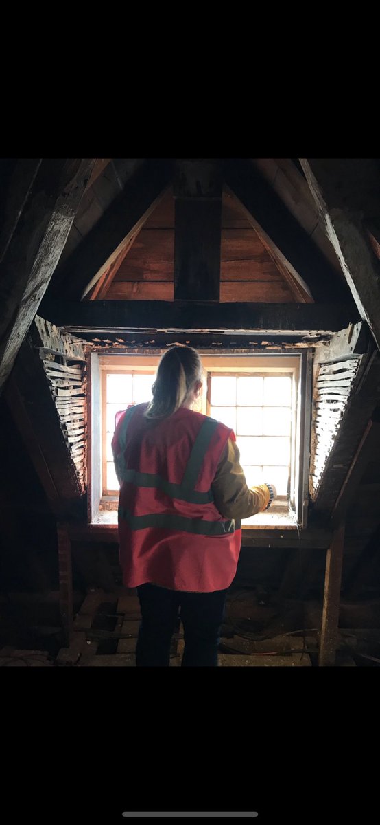 Meg Cable tweet media