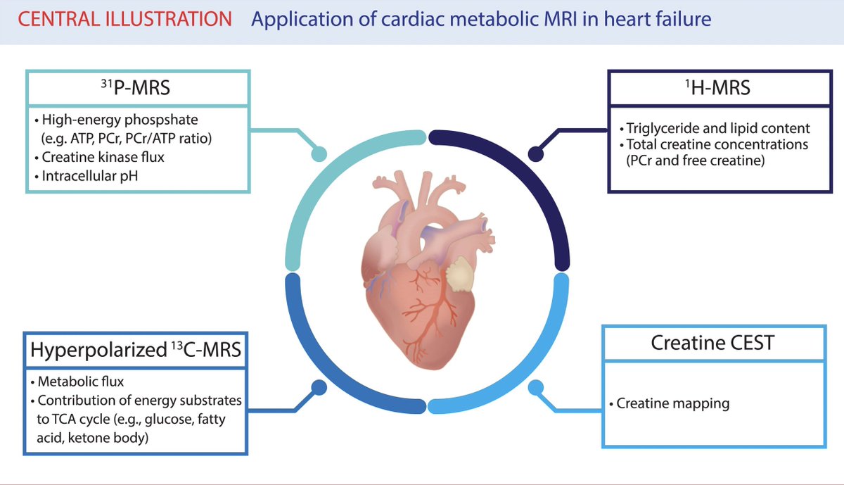 EHJCVI Editor-in-Chief (@ehjcvieic) on Twitter photo Can CMR image cardiac metabolism in heart failure?
doi.org/10.1093/ehjci/…
#EHJCVI #EACVI <a href="/EACVIPresident/">EACVI President</a> <a href="/ESC_Journals/">European Society of Cardiology Journals</a> #whyCMR Can CMR image cardiac metabolism in heart failure?
doi.org/10.1093/ehjci/…
#EHJCVI #EACVI <a href="/EACVIPresident/">EACVI President</a> <a href="/ESC_Journals/">European Society of Cardiology Journals</a> #whyCMR