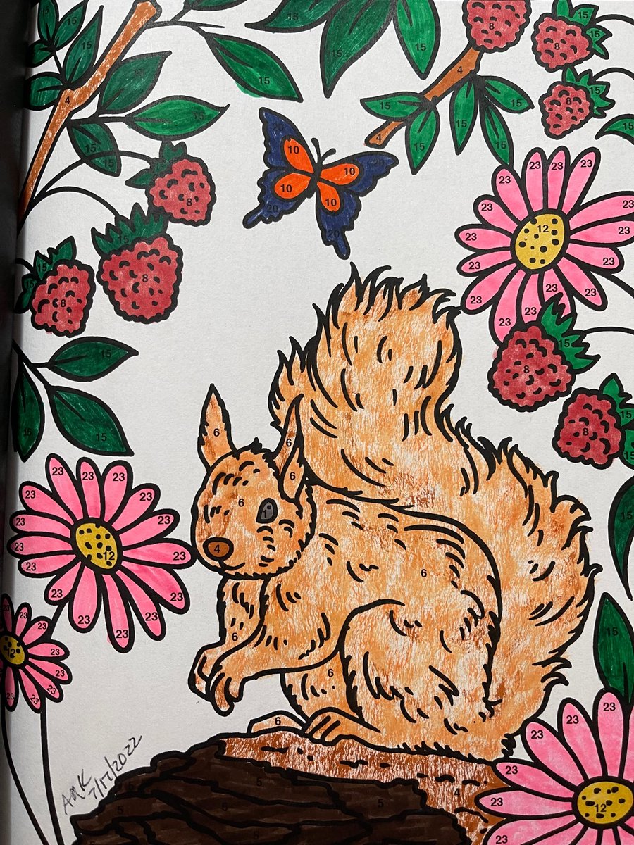 a_kelly2020's tweet photo. Enjoy your week! 🙂#colorquestopia #colorbynumbers #markers #mycoloring #springscene #nationalpark #springpatterns https://t.co/1TCZQsddVx