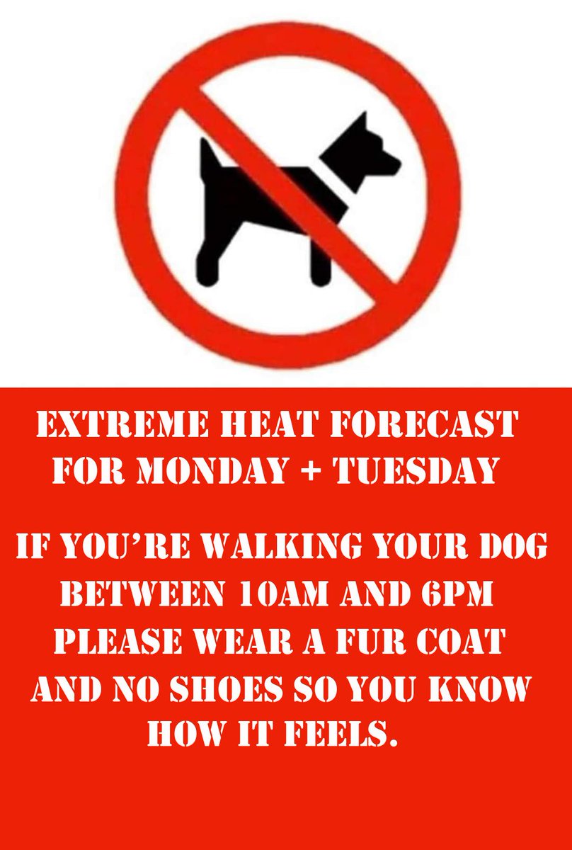 Llandeilo tweet media