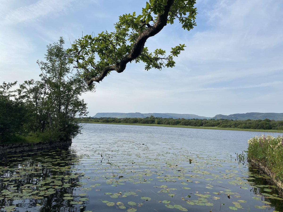jackiemcguin's tweet photo. Another evening stroll by the river on day 1295 of #1300daysofwalking Nice breeze made it quite pleasant #DoorlyPark #Cleveragh Benbulben in the background https://t.co/MtA3NVz4Ql