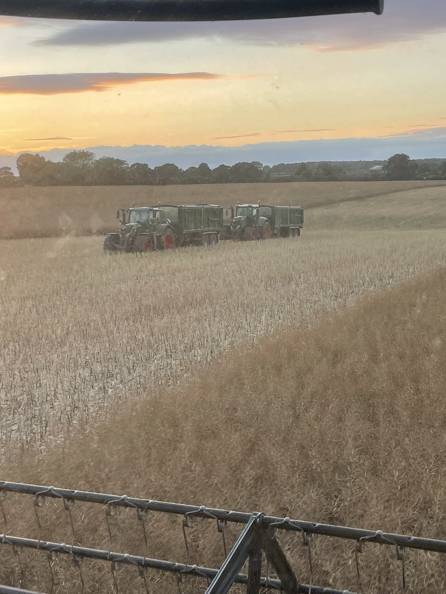 Tom Youngs tweet media