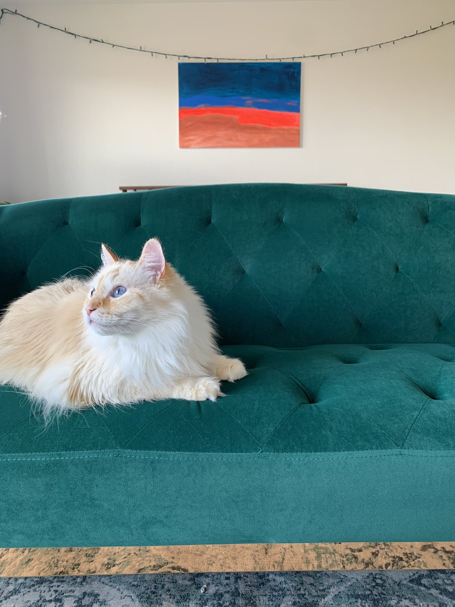 Jackie Majors tweet media