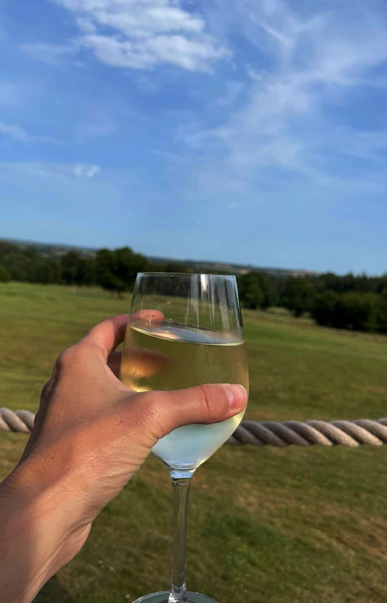 sammy39sammy's tweet image. Warm summer nights, the smell of cut grass, and having a glass of chilled white wine , that what summer Saturday nights are for  #golf #manorwelbeck #sparkwell @GreatDevonDays #wine #SummerVibes ❤️❤️❤️